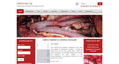 Desktop Screenshot of collprimvasc.org
